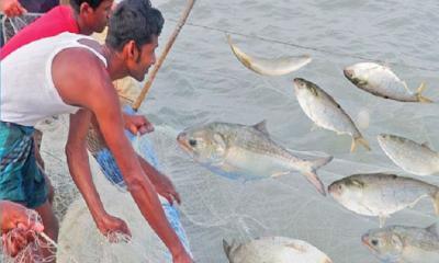 নিষেধাজ্ঞার সময় জাল ফেললেই জেল-জরিমানা