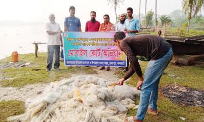 বিষখালী নদীতে মা ইলিশ শিকার, ২ জনকে কারাদণ্ড