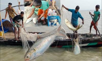 ২২ দিন পর শুরু হলো ইলিশ ধরা