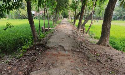 দোয়ারাবাজারে খানাখন্দে ভরা সড়ক, এলাকাবাসীর দুর্ভোগ