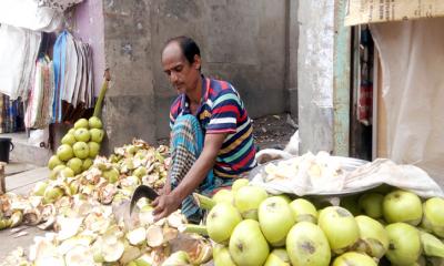 তীব্র গরমে আত্রাইয়ে বাড়েছে তাল শাঁসের কদর