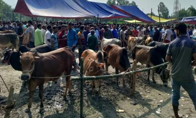 ডিমলায় রশিদের নামে জবরদস্তি, অতিরিক্ত টাকা আদায় করছে ইজারাদার