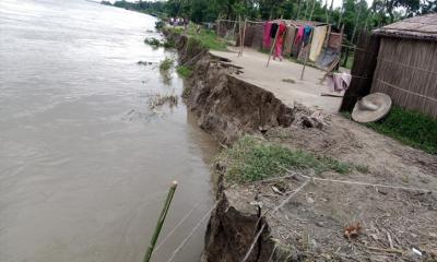 ব্রহ্মপুত্রের ভাঙনে ৭০ বসতভিটা বিলীন