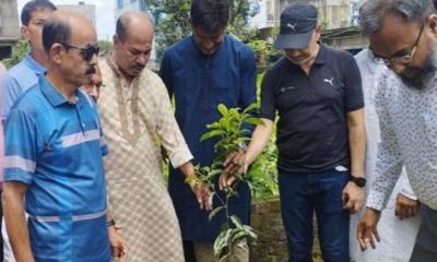 কিশোরগঞ্জে শহীদ খায়রুল স্মৃতি সংসদের উদ্যোগে বৃক্ষরোপন