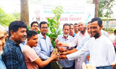 হাটহাজারীতে প্রান্তিক কৃষকদের মাঝে ৫০০০ চারা বিতরণ