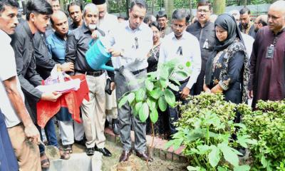 জাতীয় শোক দিবসে দোয়া মাহফিল ও বৃক্ষরোপণ করেছে সমাজকল্যাণ মন্ত্রণালয়