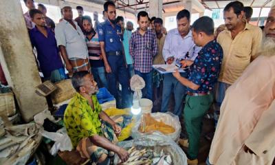 কাউখালীতে মাছে রং মিশ্রিত করে মাছ বিক্রি করার অপরাধে অর্থদণ্ড
