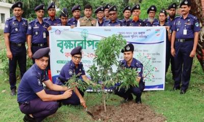 নড়াইল পুলিশ লাইনসে এসপি সাদিরা খাতুনের উদ্যোগে বৃক্ষরোপন