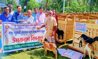 কাউখালীতে মৎস্য কার্ডধারী জেলেদের মধ্যে ছাগল বিতরণ