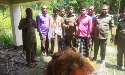 সুন্দরবনে ট্রলারসহ তিন জেলে আটক