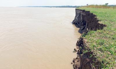 রাজবাড়ীতে পানি কমছে আর বাড়ছে ভাঙন