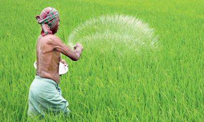 ১ লাখ ২০ হাজার টন ইউরিয়া সার আমদানি করবে সরকার