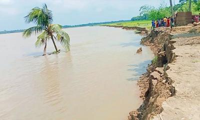 নড়াইলের মধুমতী নদীতে তীব্র ভাঙন