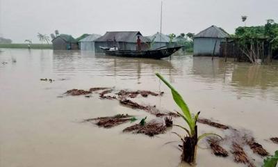 গঙ্গাচড়ায় বেড়িবাঁধ ভেঙে দুর্ভোগে দশ হাজার মানুষ