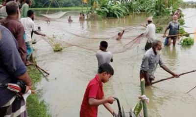 ঈশ্বরগঞ্জ ও নান্দাইলে খাল-বিলে মাছ শিকারের হিড়িক