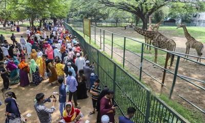 চিড়িয়াখানায় প্রাণীদের উত্ত্যক্ত করলেই জরিমানা