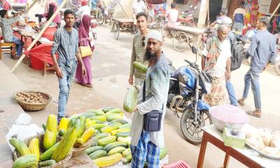 ভাঙ্গুড়ায় রোজায় কদর বেড়েছে স্থানীয় মৌসুমি ফলের