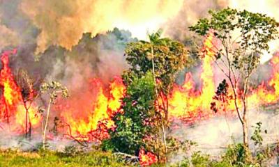 পুড়ছে সুন্দরবন: দুই কিলোমিটার এলাকা ছড়িয়ে পড়ছে আগুন