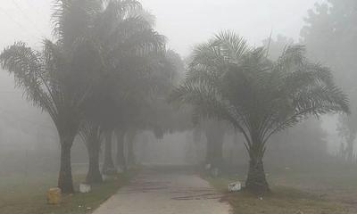 শীতে কাঁপছে দিনাজপুর