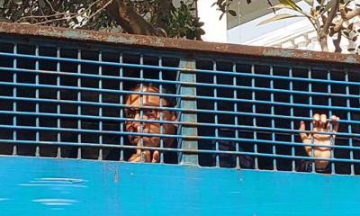 ‘আপনারা মুক্ত আছেন তো, আমরা বোবা’