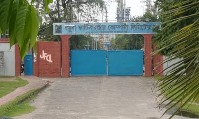গ্যাস পেয়ে ১৩ মাস পর যমুনা সার কারখানায় ফের উৎপাদন শুরু