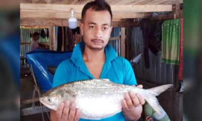 কুয়াকাটায় একটি ইলিশ বিক্রি হয়েছে ৭ হাজার টাকা