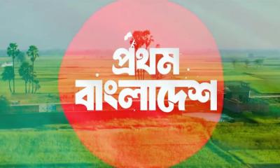 স্বাধীনতা, খ্যাতি ও সত্যের বিরানভূমি