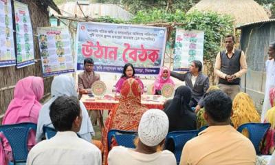 উল্লাপাড়ায় পুষ্টি বাগান প্রকল্পে উঠান বৈঠক