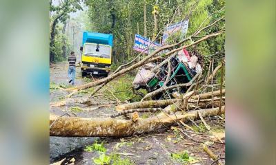 ঝড়ে দুই জেলায় তিনজনের মৃত্যু, ব্যাপক ক্ষয়ক্ষতি