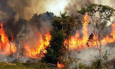 সুন্দরবনে আগুন, রাতভর জ্বলবে বন