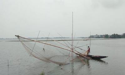 বিলুপ্তির পথে মুক্ত জলাশয়ের দেশী মাছ, পেশা পাল্টাচ্ছে জলেরা