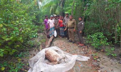 শরনখোলার রেঞ্জ এলাকা থেকে ১১ হরিণ শিকারী আটক