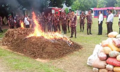 লালমনিরহাটে বিপুল পরিমাণ মাদকদ্রব্য ধ্বংস করলো বিজিবি