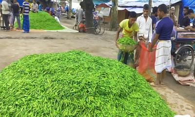 ফের কাঁচা মরিচ ৫০০ টাকা