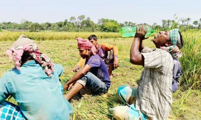 সব রেকর্ড ভেঙে চুয়াডাঙ্গার তাপমাত্রা ৪৩ দশমিক ৭ ডিগ্রি