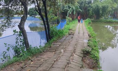 রাস্তাকে ব্যবহার করা হচ্ছে পুকুরের পাড় হিসেবে