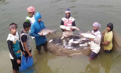 অন্ধকার থেকে আলোর পথে ফিরে স্বাবলম্বী রাজশাহীর ৫৭ জন চরমপন্থী