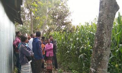 ঝগড়া করে সন্তান নিয়ে ঢাকায় স্ত্রী, ফাঁস নিলেন যুবক