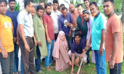 বজ্রাঘাত ও প্রাকৃতিক দুর্যোগ রুখতে কোটচাঁদপুরে যুব সমাজ কল্যাণের তালের বীজ রোপণ