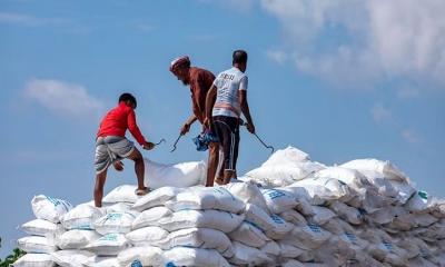 ২৯৬ কোটি টাকার ইউরিয়া কিনবে সরকার