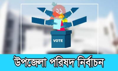 উপজেলা নির্বাচনের দ্বিতীয় ধাপে জয়ী হলেন যাঁরা