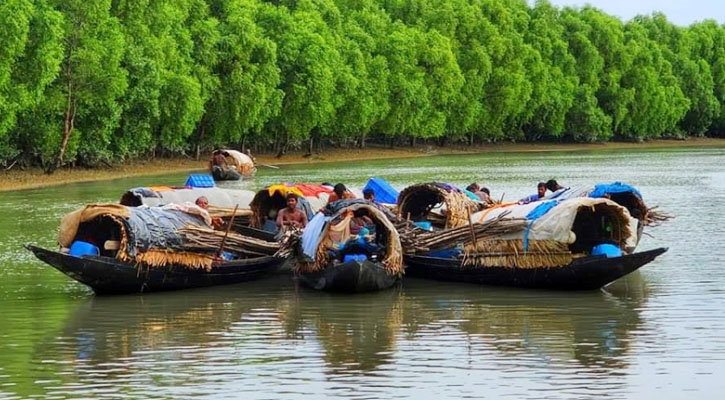 সুন্দরবনের অভয়ারণ্যে নির্বিঘ্নে মাছ ও কাঁকড়া আহরণের অভিযোগ