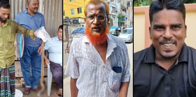 ফরিদপুরে  রাসেলস ভাইপার ধরে পুরস্কার পাচ্ছেন সেই তিনজন