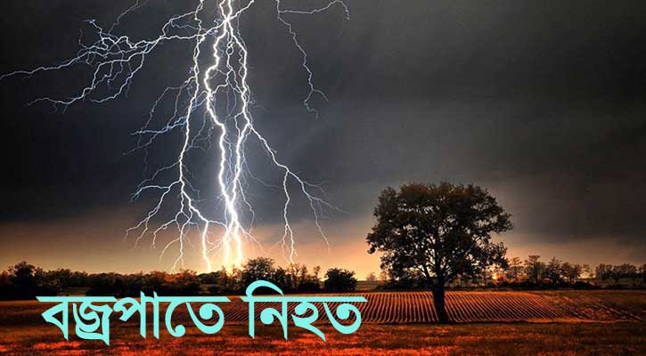 ধান কাটার সময় বজ্রপাতে কালীগঞ্জে কৃষকের মৃত্যু