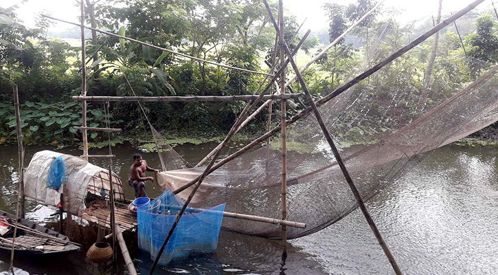 বিলুপ্তপ্রায় ভেসাল জালে মাছ শিকারের দৃশ্য