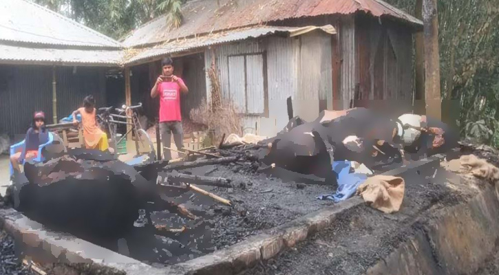 পলাশবাড়ীতে ভয়াবহ অগ্নিকান্ডে সাড়ে ৫ লাখ টাকার ক্ষতি