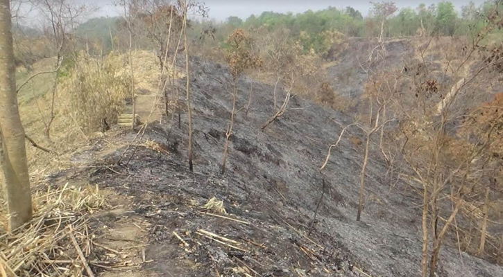 পাথারিয়া সংরক্ষিত বনে আগুন, ব্যবস্থা নিতে বন মন্ত্রীর নির্দেশ