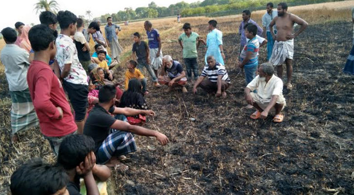 কাটার আগেই পুড়ে ছাই হলো ৩৬ বিঘা পাকা গম