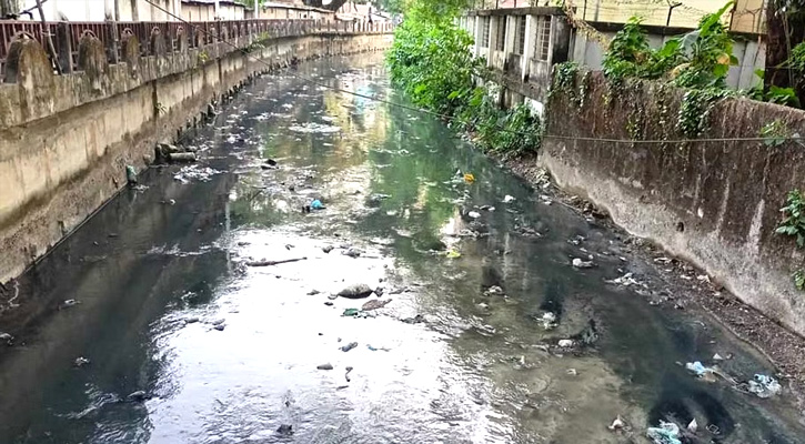 সিলেট নগরীতে বেড়েছে লাগামহীন মশার উপদ্রব