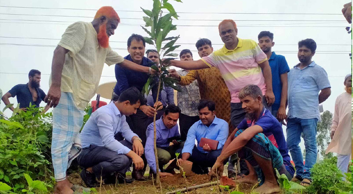 ঝিনাইগাতীতে ইউসিবি ব্যাংকের উদ্যোগে বৃক্ষরোপন কর্মসূচি